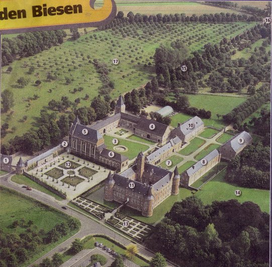abies1.jpg